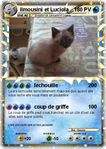 Pokemon limousini et Luciola