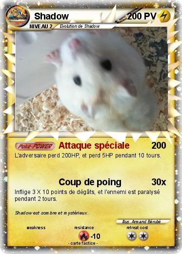Pokemon Shadow