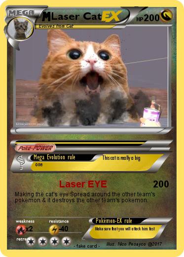 Pokemon Laser Cat