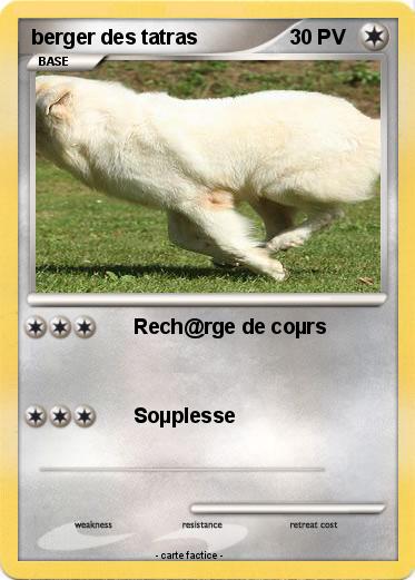 Pokemon berger des tatras