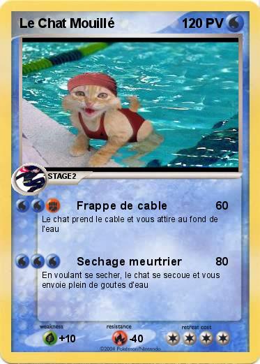 Pokemon Le Chat Mouillé