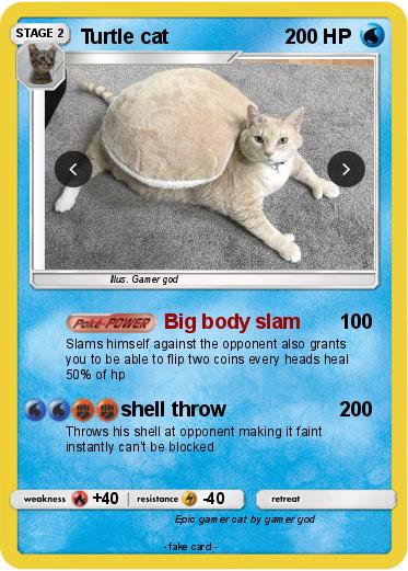 Pokemon Turtle cat