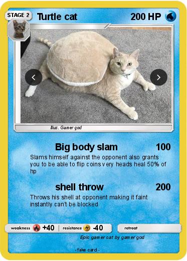 Pokemon Turtle cat