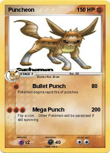 Pokemon Puncheon