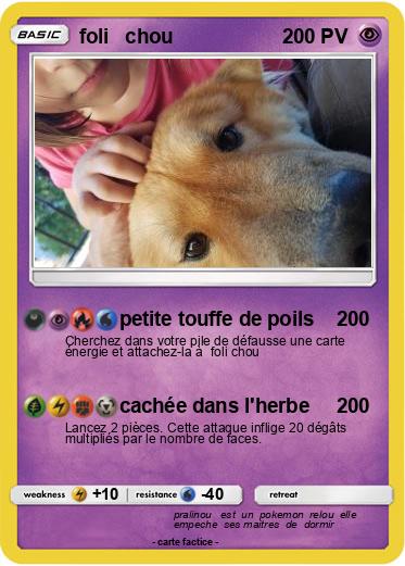 Pokemon foli   chou