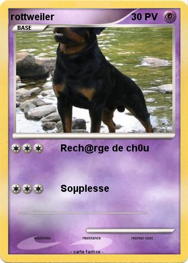 Pokemon rottweiler