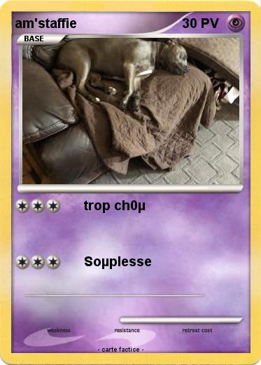 Pokemon am'staffie