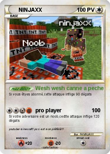 Pokemon NINJAXX