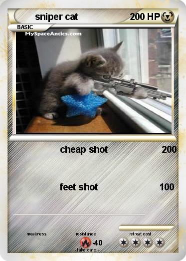 Pokemon sniper cat