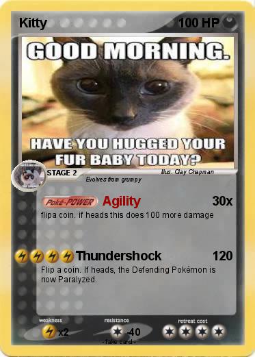 Pokemon Kitty