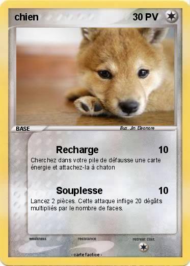 Pokemon chien