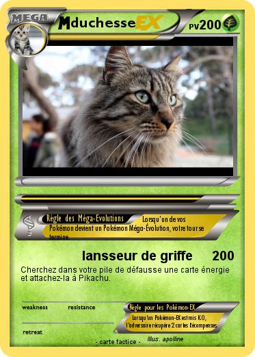 Pokemon duchesse