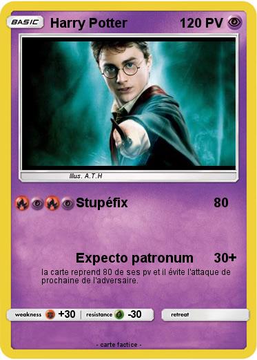 Pokemon Harry Potter