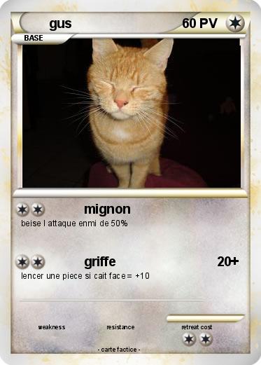 Pokemon gus