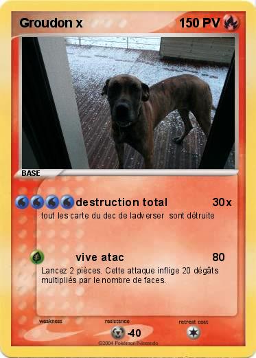Pokemon Groudon x