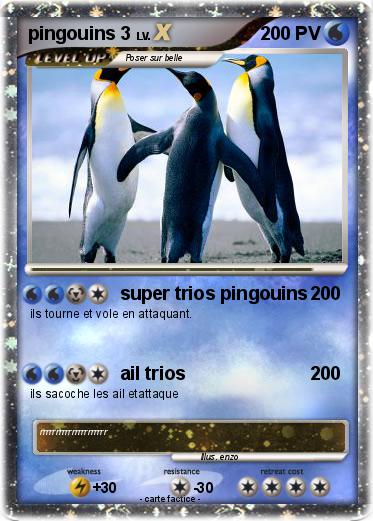 Pokemon pingouins 3