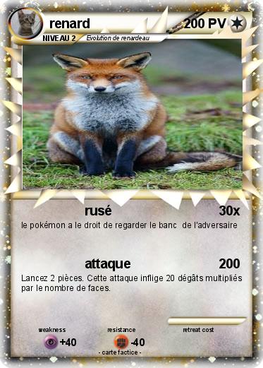 Pokemon renard