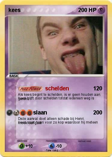 Pokemon kees