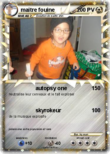 Pokemon maitre fouine