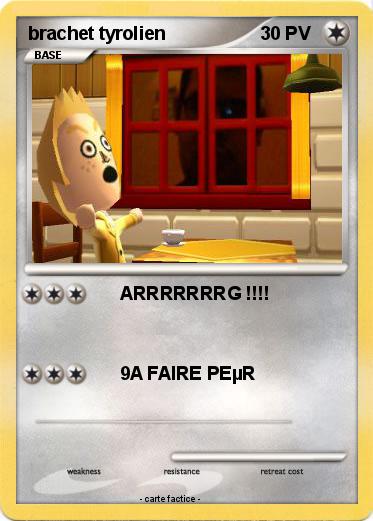 Pokemon brachet tyrolien