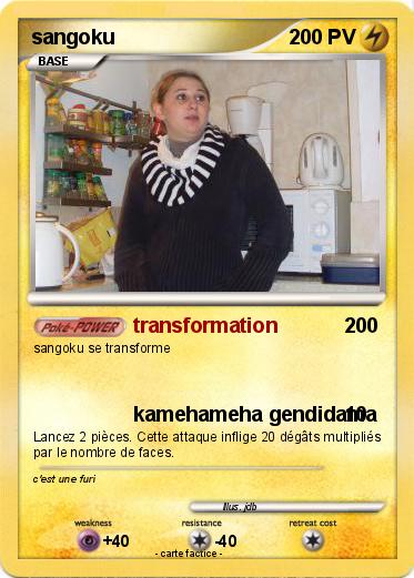Pokemon sangoku