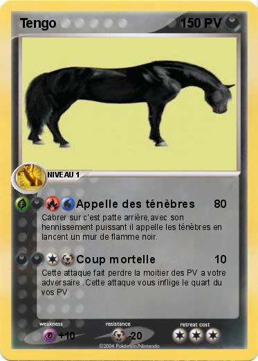 Pokemon Tengo