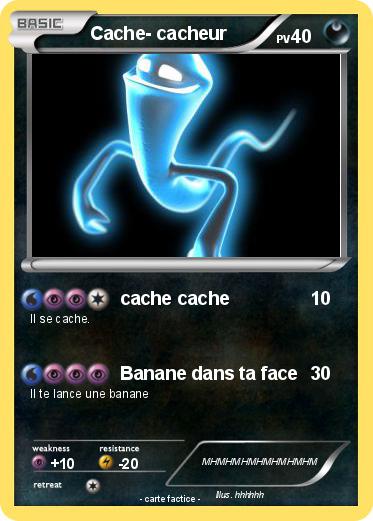 Pokemon Cache- cacheur