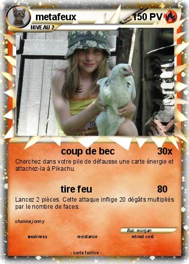 Pokemon metafeux
