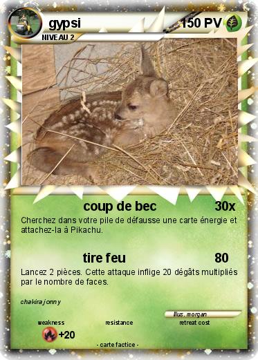 Pokemon gypsi