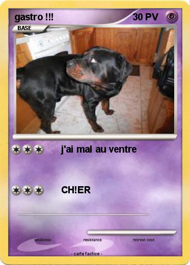 Pokemon gastro !!!
