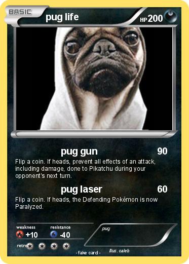 Pokemon pug life