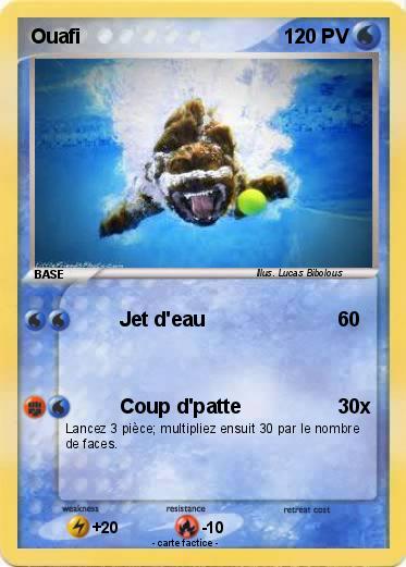 Pokemon Ouafi
