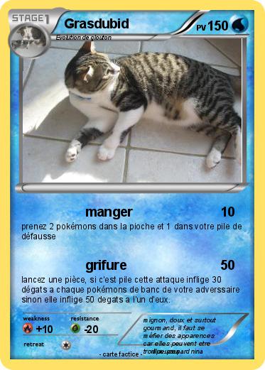 Pokemon Grasdubid