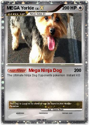 Pokemon MEGA Yorkie