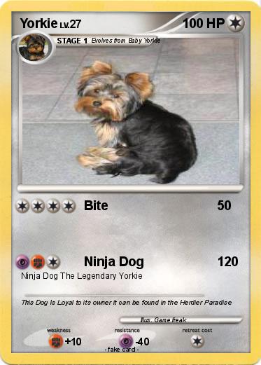 Pokemon Yorkie