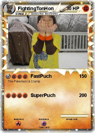 Pokemon FightingTonHon