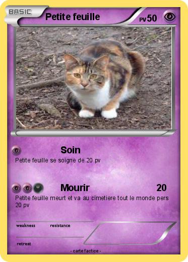Pokemon Petite feuille