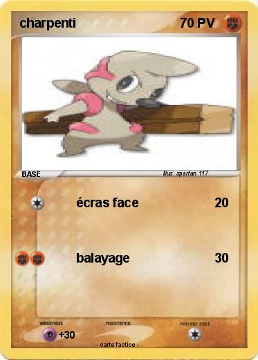 Pokemon charpenti