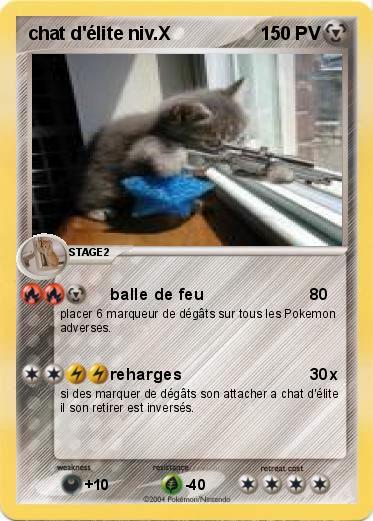 Pokemon chat d'élite niv.X