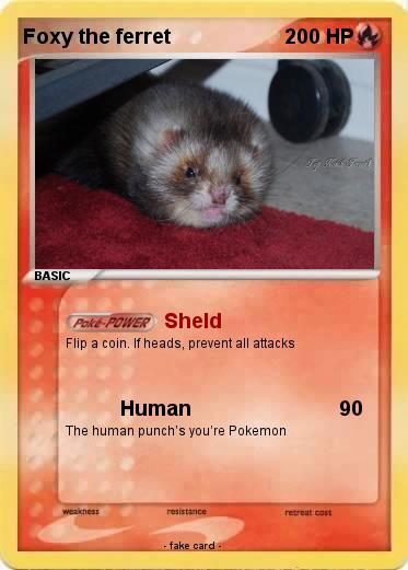 Pokemon Foxy the ferret