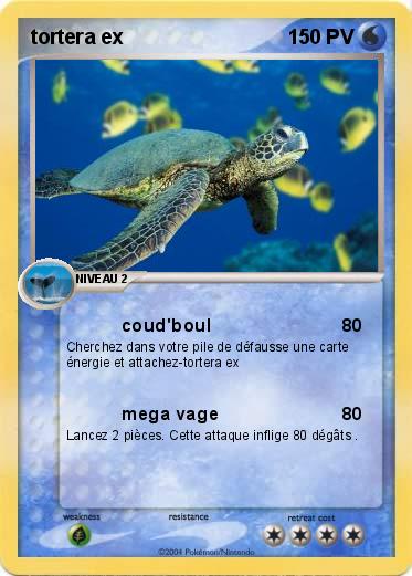 Pokemon tortera ex 