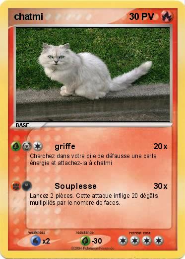 Pokemon chatmi