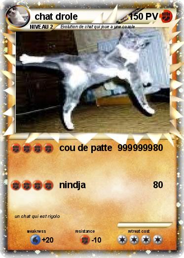 Pokemon chat drole