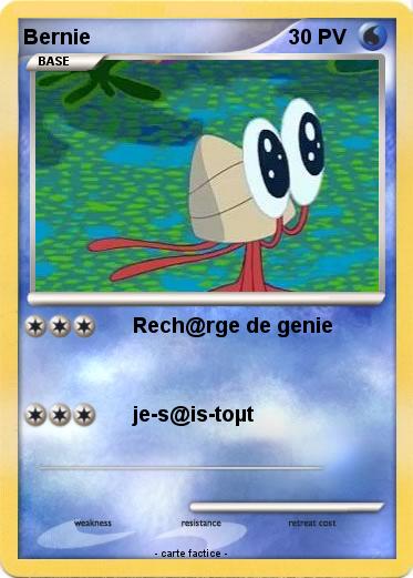 Pokemon Bernie