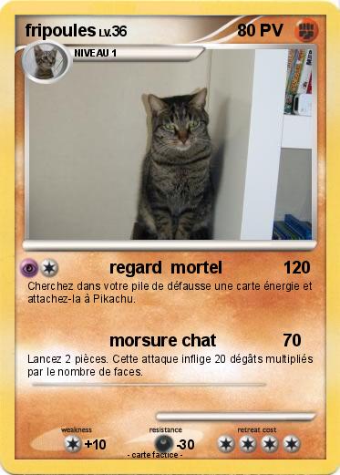 Pokemon fripoules
