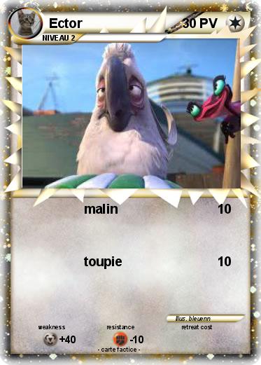 Pokemon Ector