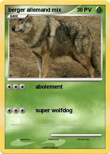 Pokemon berger allemand mix