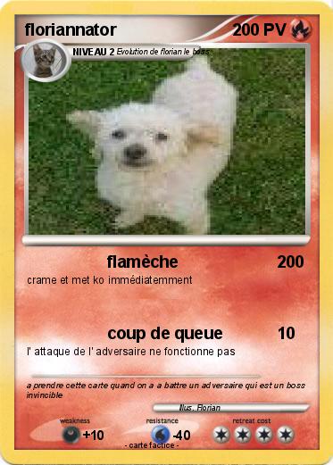 Pokemon floriannator