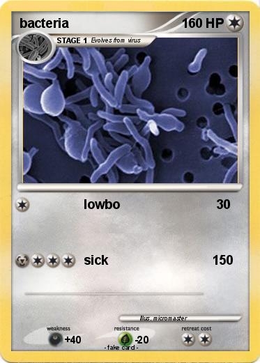 Pokemon bacteria