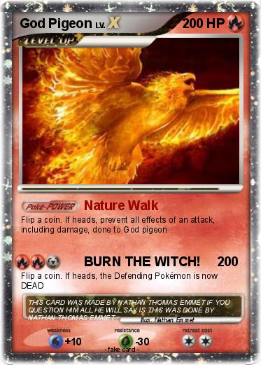 Pokemon God Pigeon